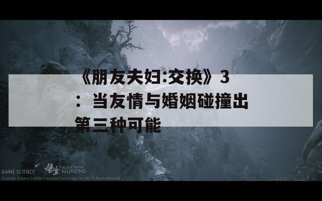 《朋友夫妇:交换》3：当友情与婚姻碰撞出第三种可能  第1张