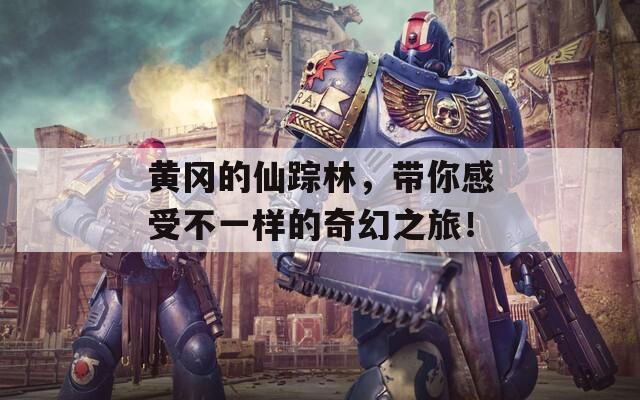 黄冈的仙踪林，带你感受不一样的奇幻之旅！  第1张
