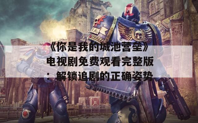 《你是我的城池营垒》电视剧免费观看完整版：解锁追剧的正确姿势  第1张