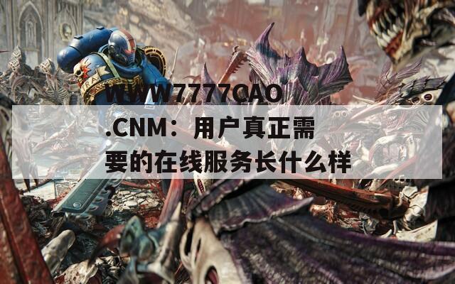 WWW7777CAO.CNM：用户真正需要的在线服务长什么样？  第1张