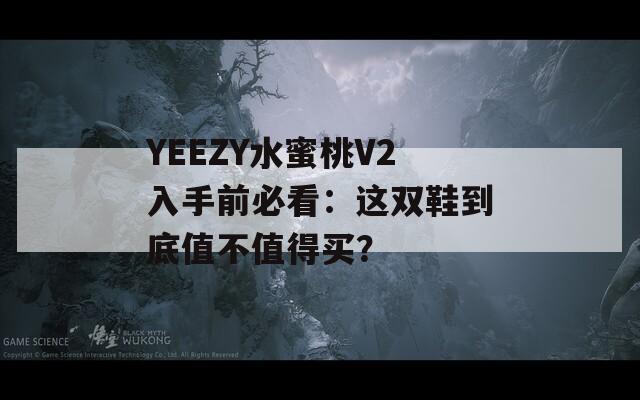 YEEZY水蜜桃V2入手前必看：这双鞋到底值不值得买？  第1张