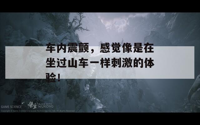 车内震颤，感觉像是在坐过山车一样刺激的体验！