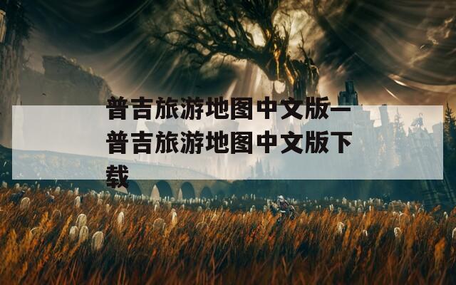 普吉旅游地图中文版—普吉旅游地图中文版下载