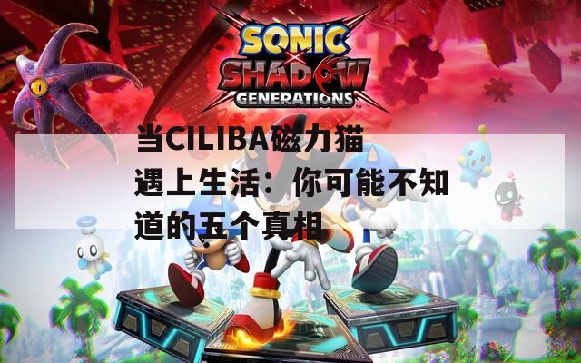 当CILIBA磁力猫遇上生活：你可能不知道的五个真相