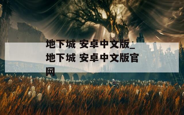 地下城 安卓中文版_地下城 安卓中文版官网
