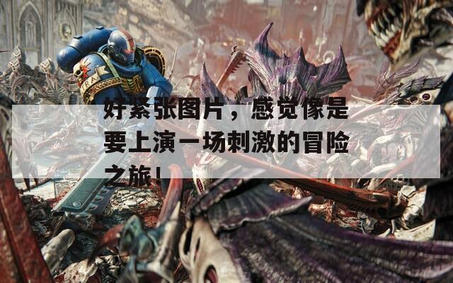 好紧张图片，感觉像是要上演一场刺激的冒险之旅！