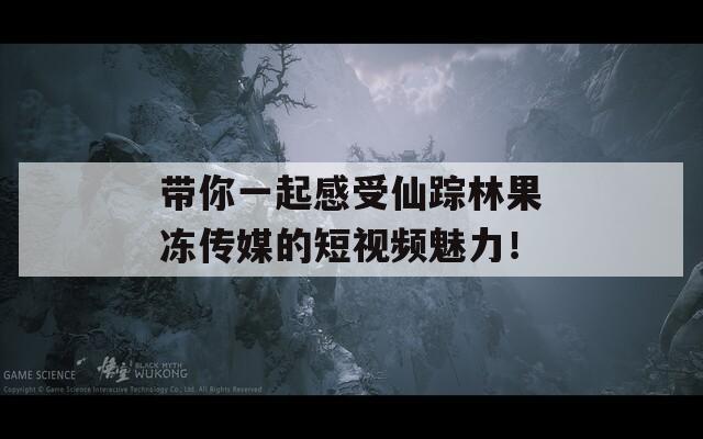 带你一起感受仙踪林果冻传媒的短视频魅力！