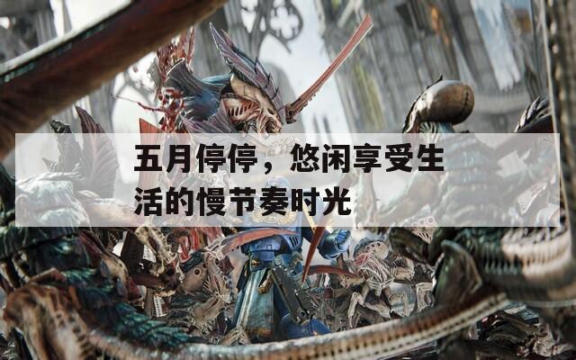 五月停停，悠闲享受生活的慢节奏时光