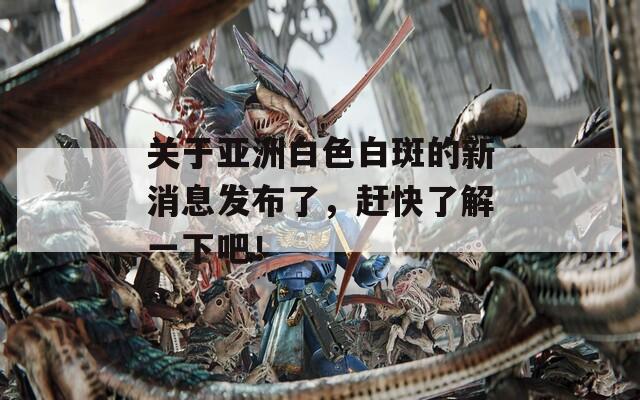 关于亚洲白色白斑的新消息发布了，赶快了解一下吧！