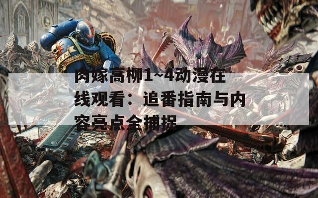 肉嫁高柳1～4动漫在线观看：追番指南与内容亮点全捕捉