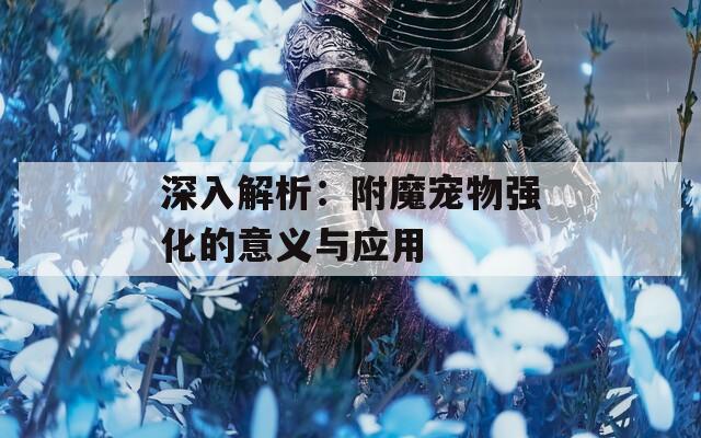 深入解析：附魔宠物强化的意义与应用