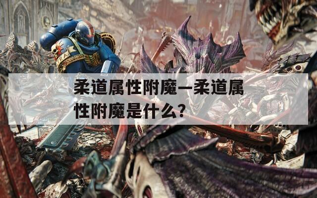 柔道属性附魔—柔道属性附魔是什么？