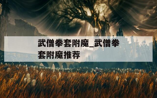 武僧拳套附魔_武僧拳套附魔推荐  第1张