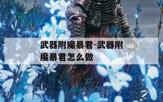武器附魔暴君-武器附魔暴君怎么做  第1张
