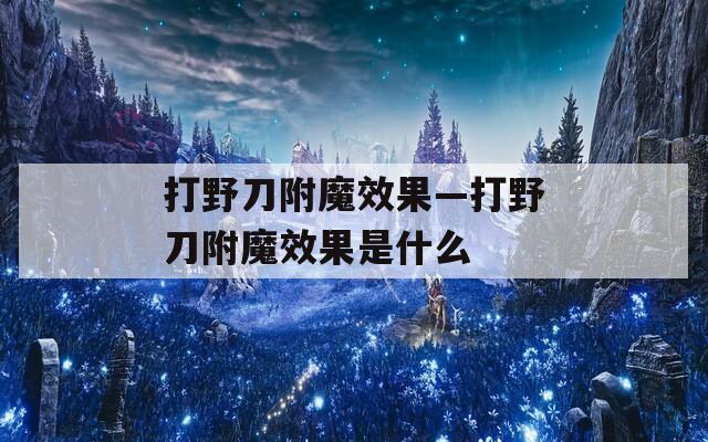 打野刀附魔效果—打野刀附魔效果是什么