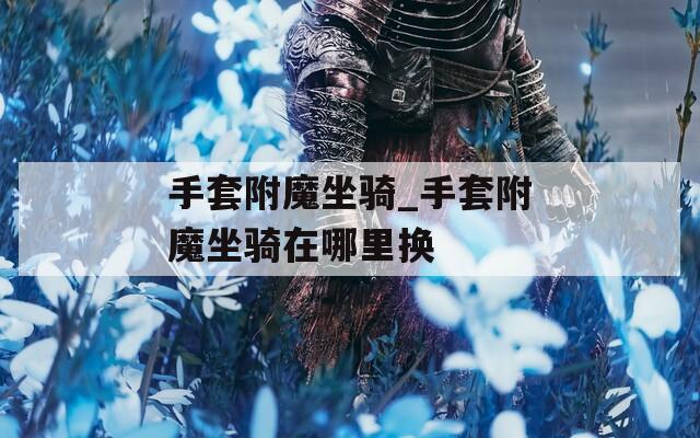 手套附魔坐骑_手套附魔坐骑在哪里换