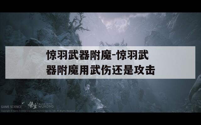 惊羽武器附魔-惊羽武器附魔用武伤还是攻击