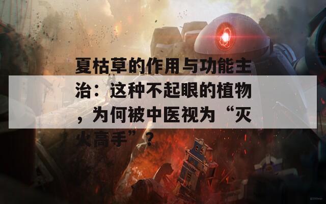 夏枯草的作用与功能主治：这种不起眼的植物，为何被中医视为“灭火高手”？