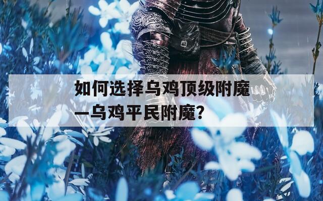 如何选择乌鸡顶级附魔—乌鸡平民附魔？