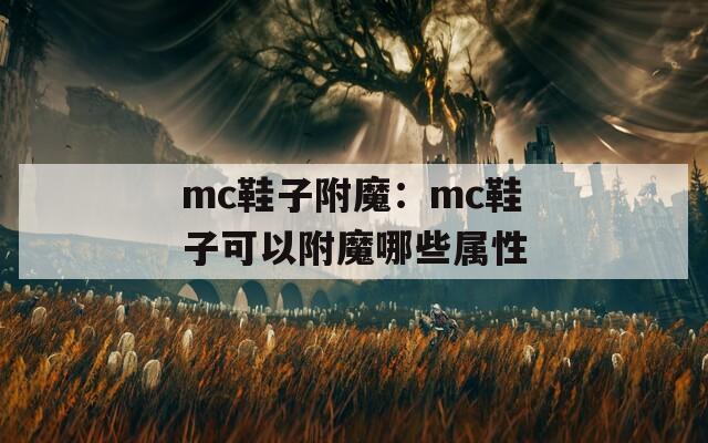 mc鞋子附魔：mc鞋子可以附魔哪些属性  第1张