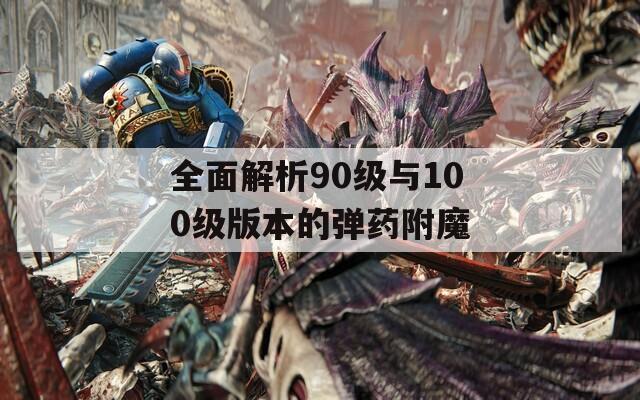 全面解析90级与100级版本的弹药附魔