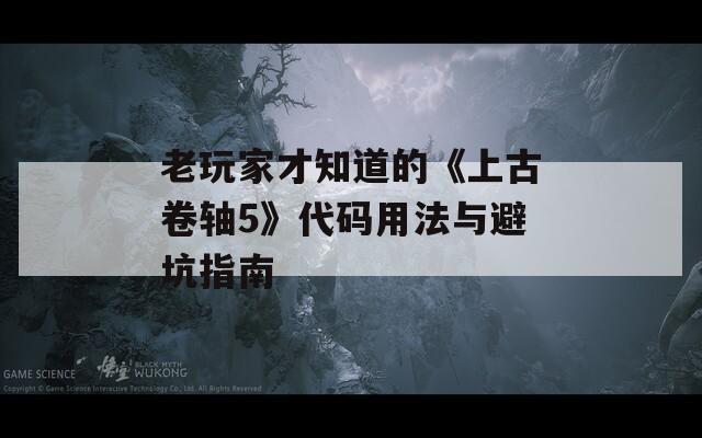 老玩家才知道的《上古卷轴5》代码用法与避坑指南