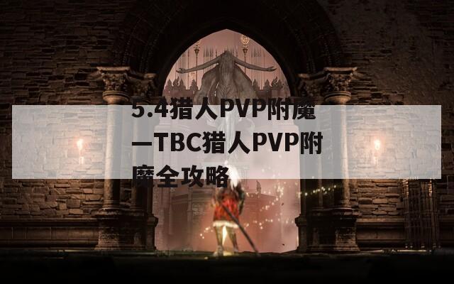 5.4猎人PVP附魔—TBC猎人PVP附魔全攻略