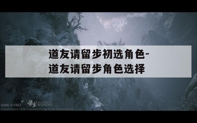 道友请留步初选角色-道友请留步角色选择
