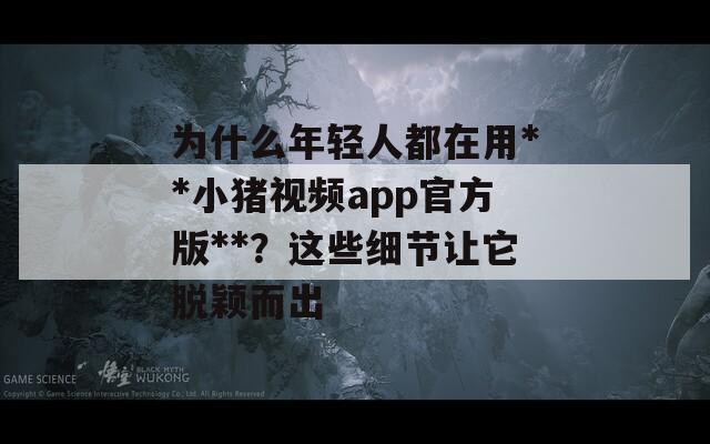 为什么年轻人都在用**小猪视频app官方版**？这些细节让它脱颖而出